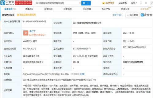 大华股份战略布局再升级，成立物联科技子公司深耕信息系统集成服务